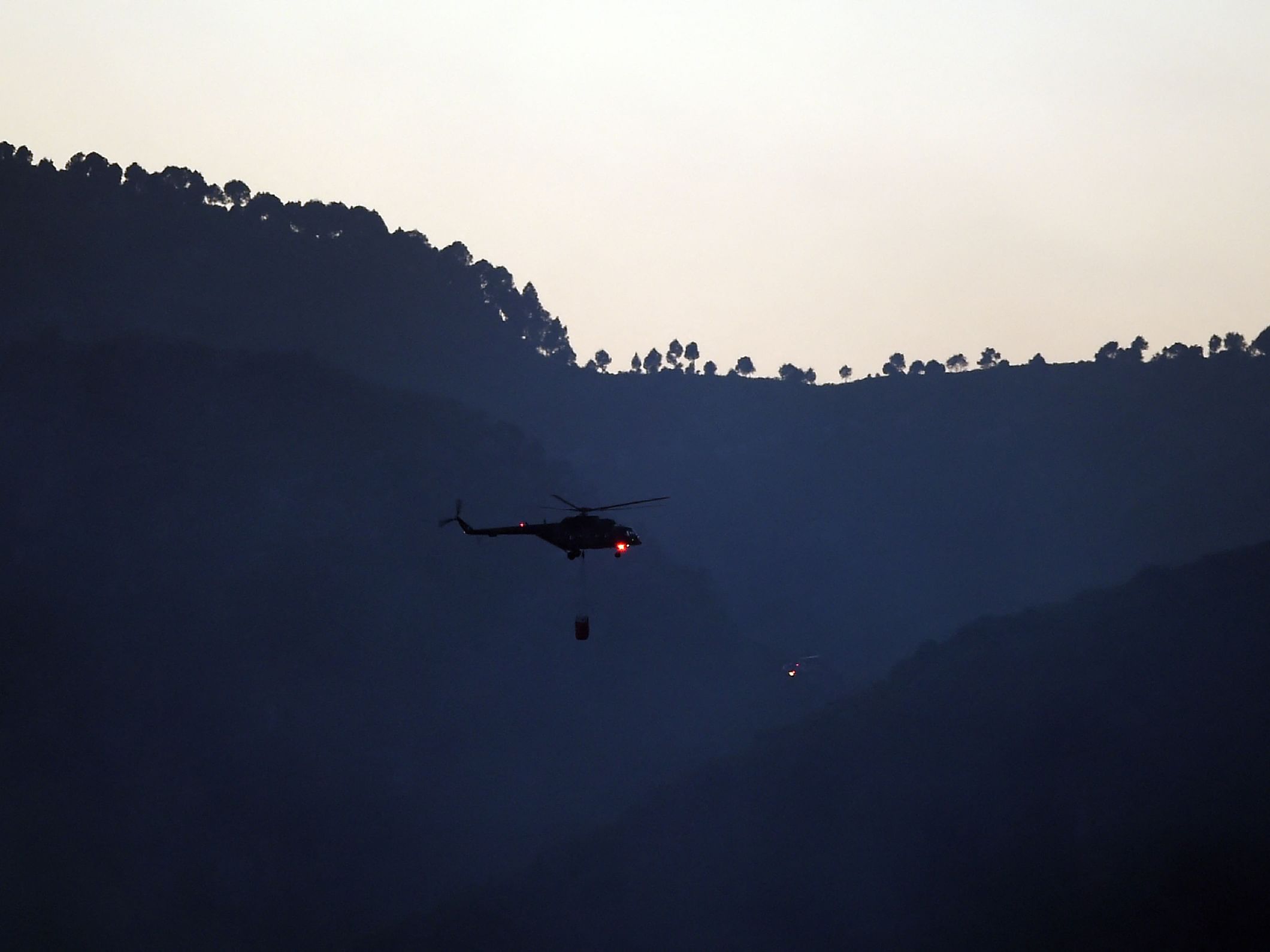 Forest fire destroys over 3,000 hectares in Kotli Sattian, Pakistan