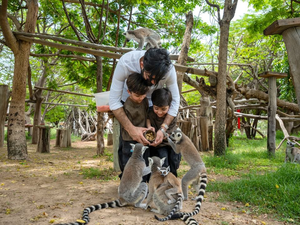 Dubai Safari Park closes 7th season with achievements across wildlife conservation, education