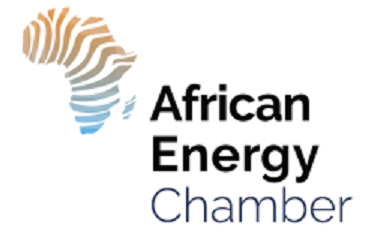 Nigeria Emerges as Big Tech’s Energy Hub 