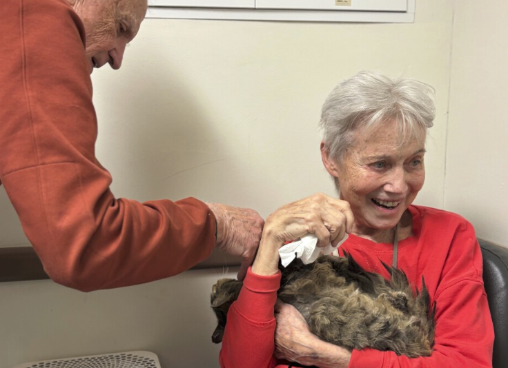 One cat’s incredible rewith its owner after the LA wildfires