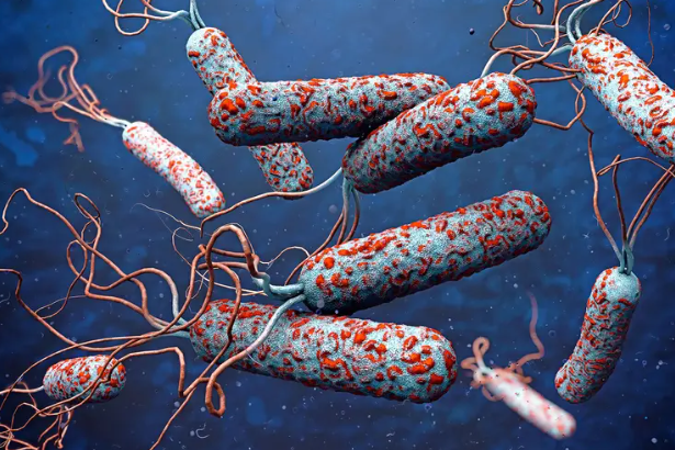 Cameroon reports 19 cholera deaths