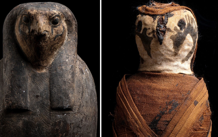 Mummified falcon from ancient Egypt on sale at Abu Dhabi Art for $90,000