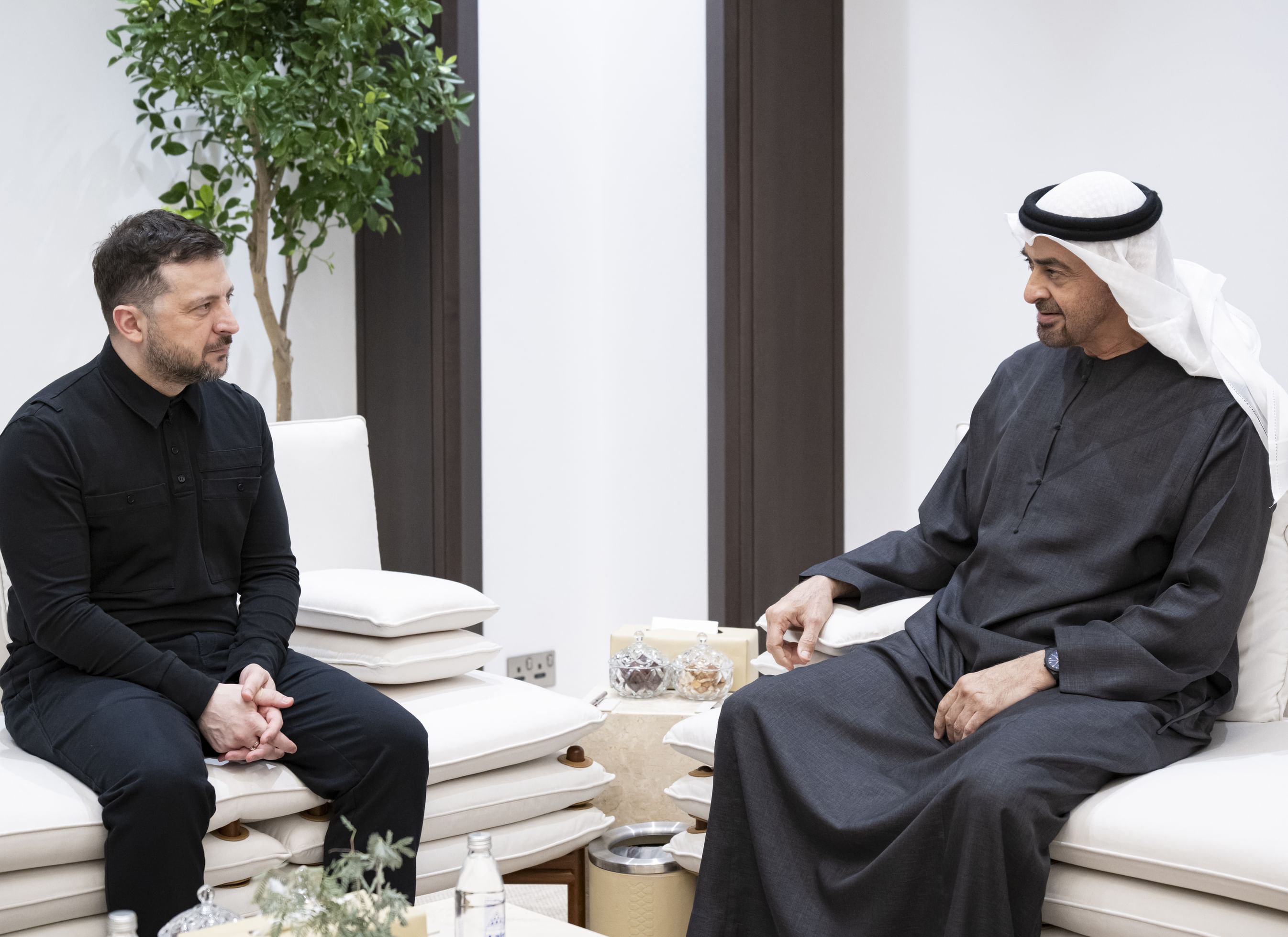 UAE and Ukrainian Presidents discuss cooperation and regional developments