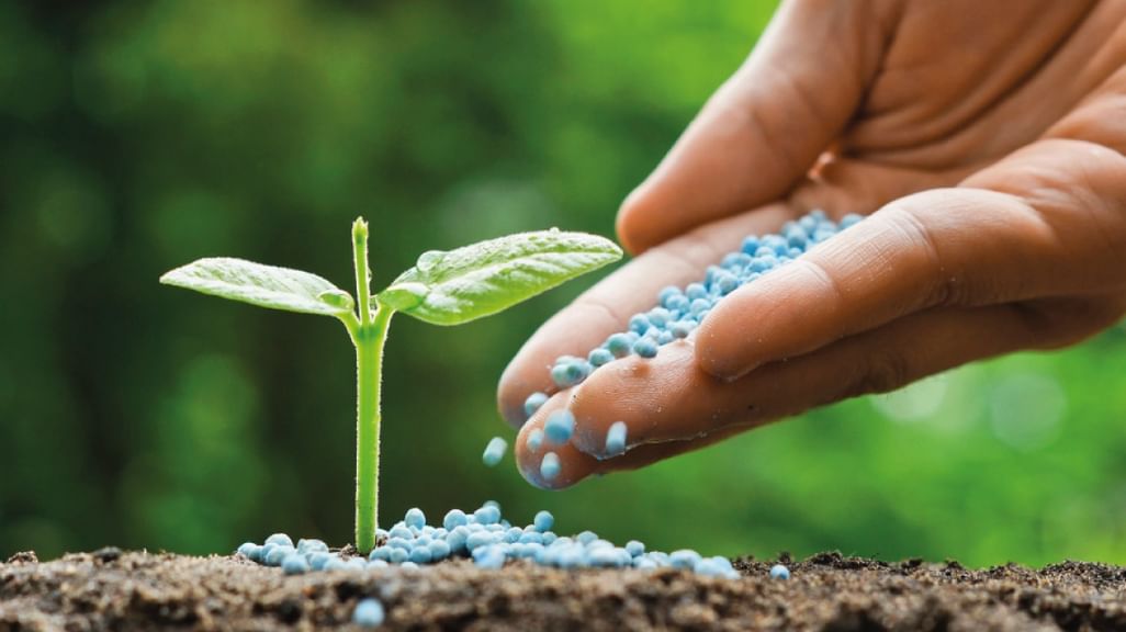 Khalifa University researchers achieve breakthrough in soil improvement