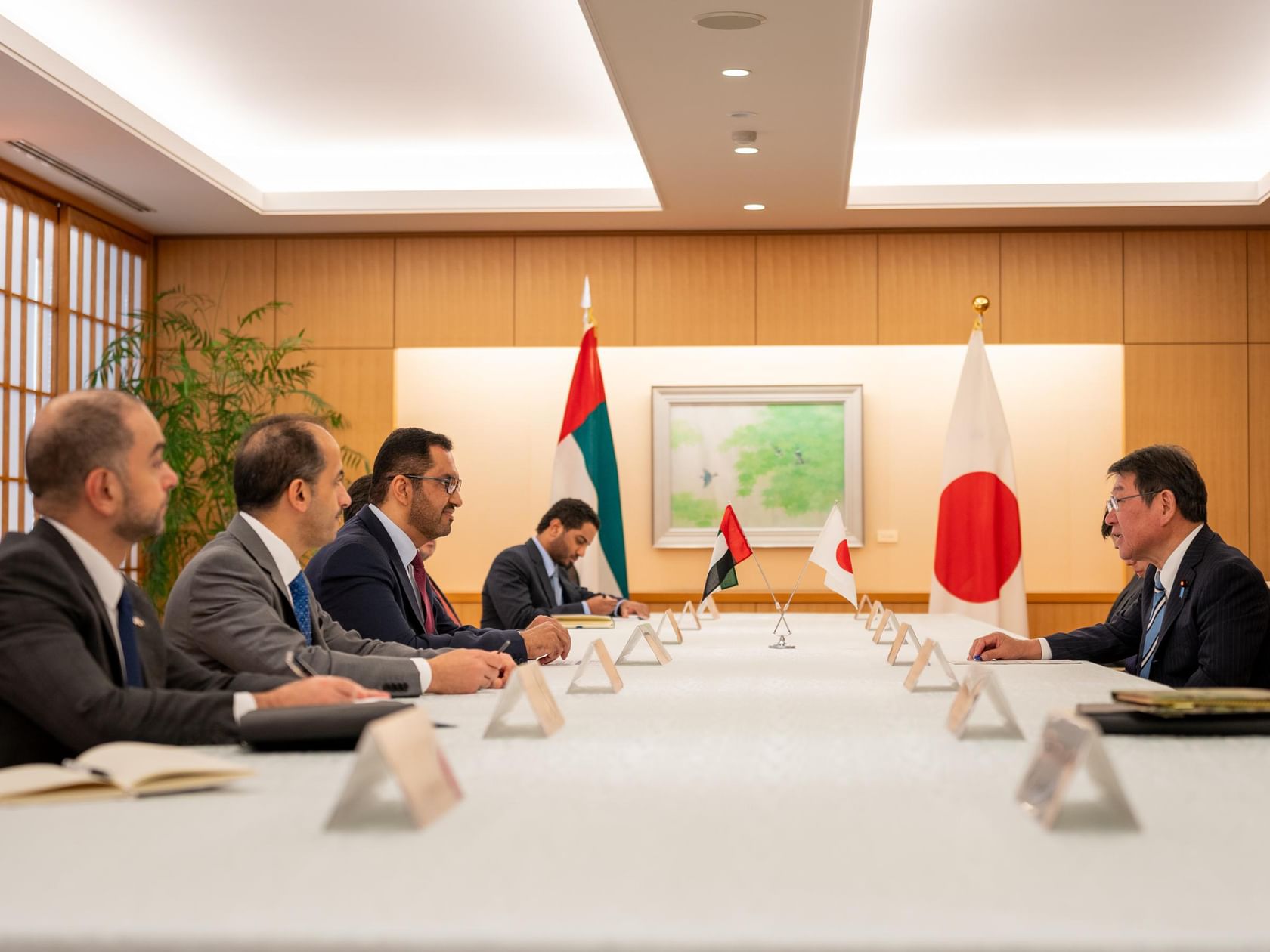 UAE, Japan review bilateral ties, explore ways to boost cooperation in energy, industry, trade
