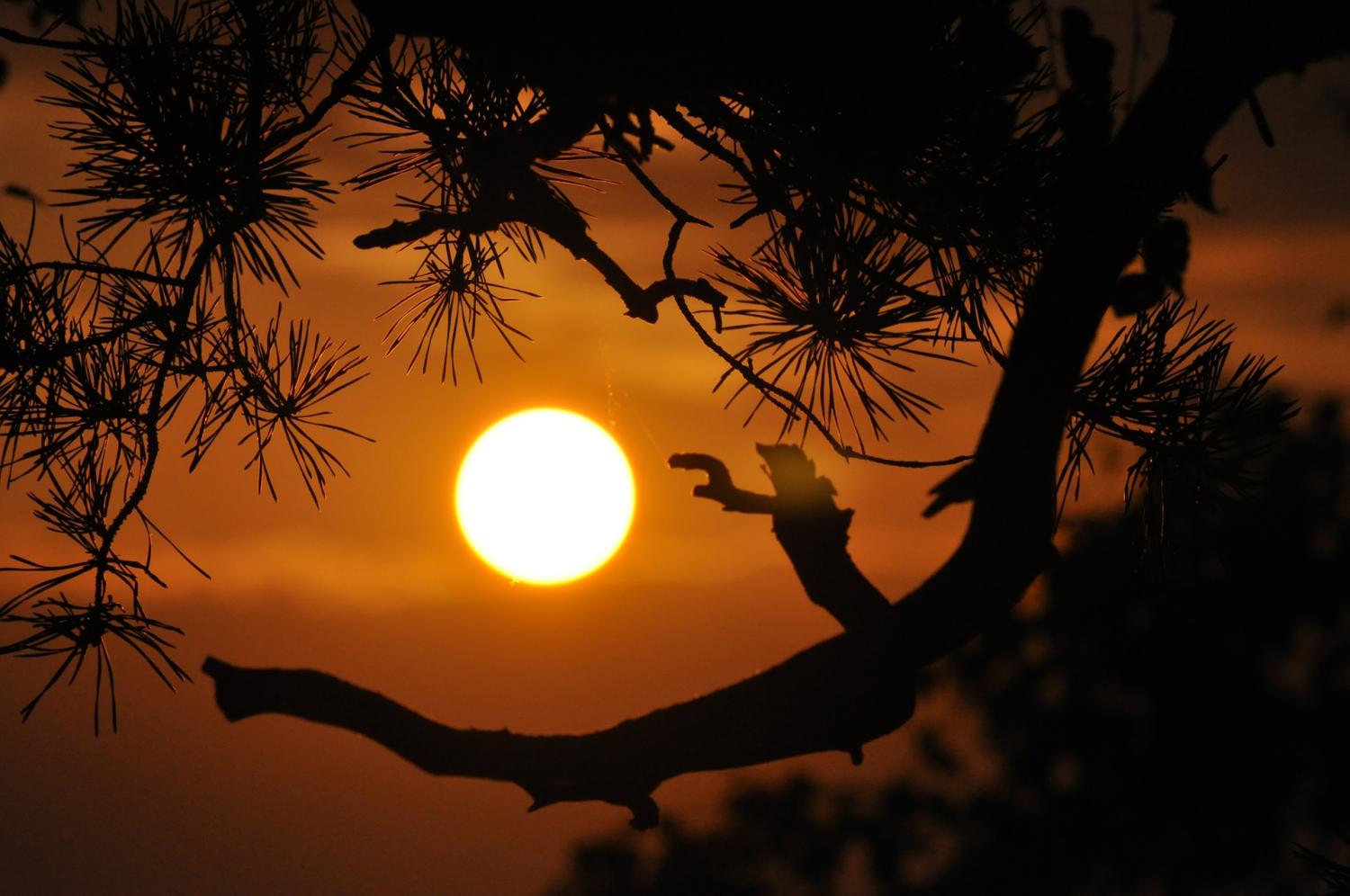 May 2026 second-warmest on record, EU monitor says