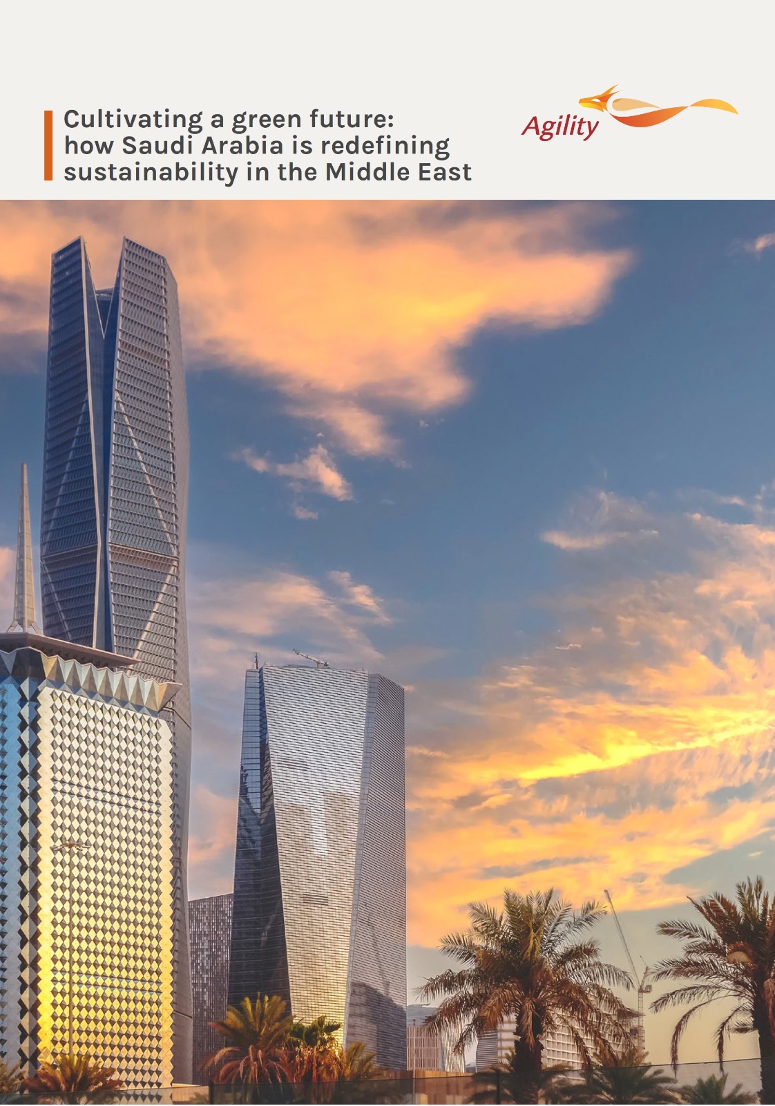 Broad Environmental Agenda is Making Saudi Arabia a Sustainability Leader