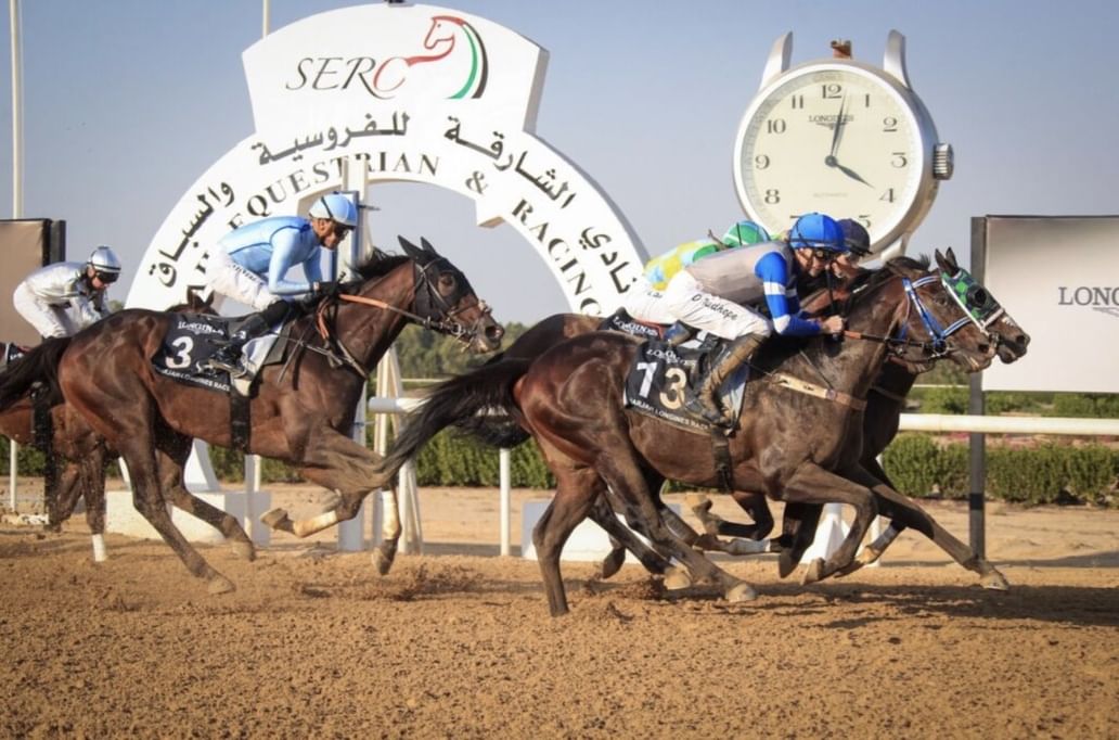 Sharjah racecourse season to open on Sunday