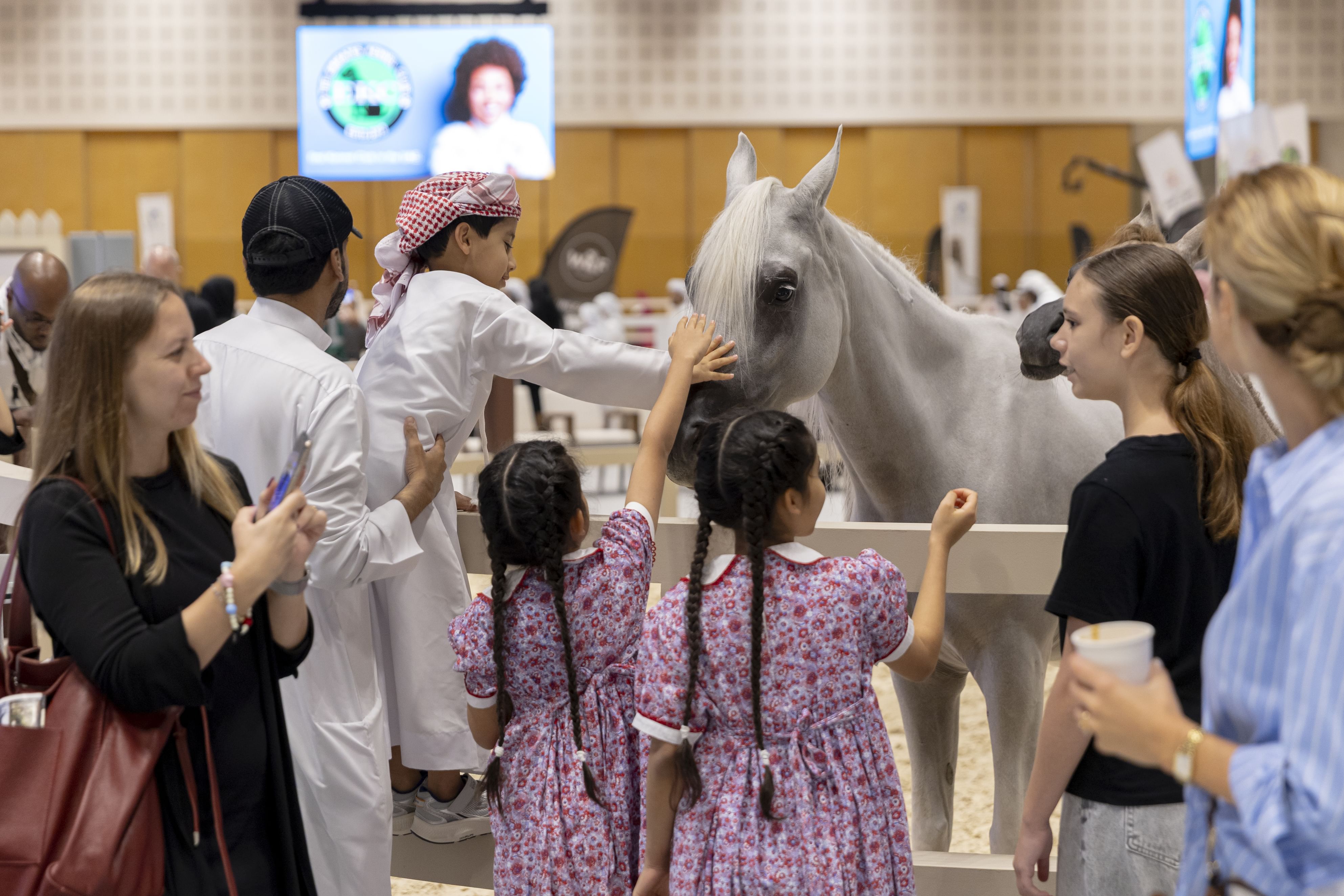 Emirates Arabian Horse Society to participate in 1st edition of International Hunting and Equestrian Exhibition – Al Ain 2025