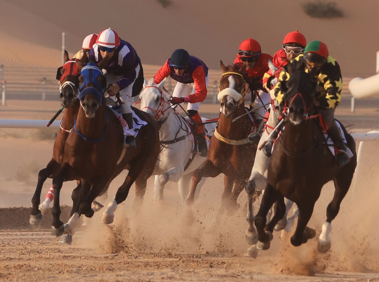 Arabian Horse Race to kick off tomorrow in Al Dhafra