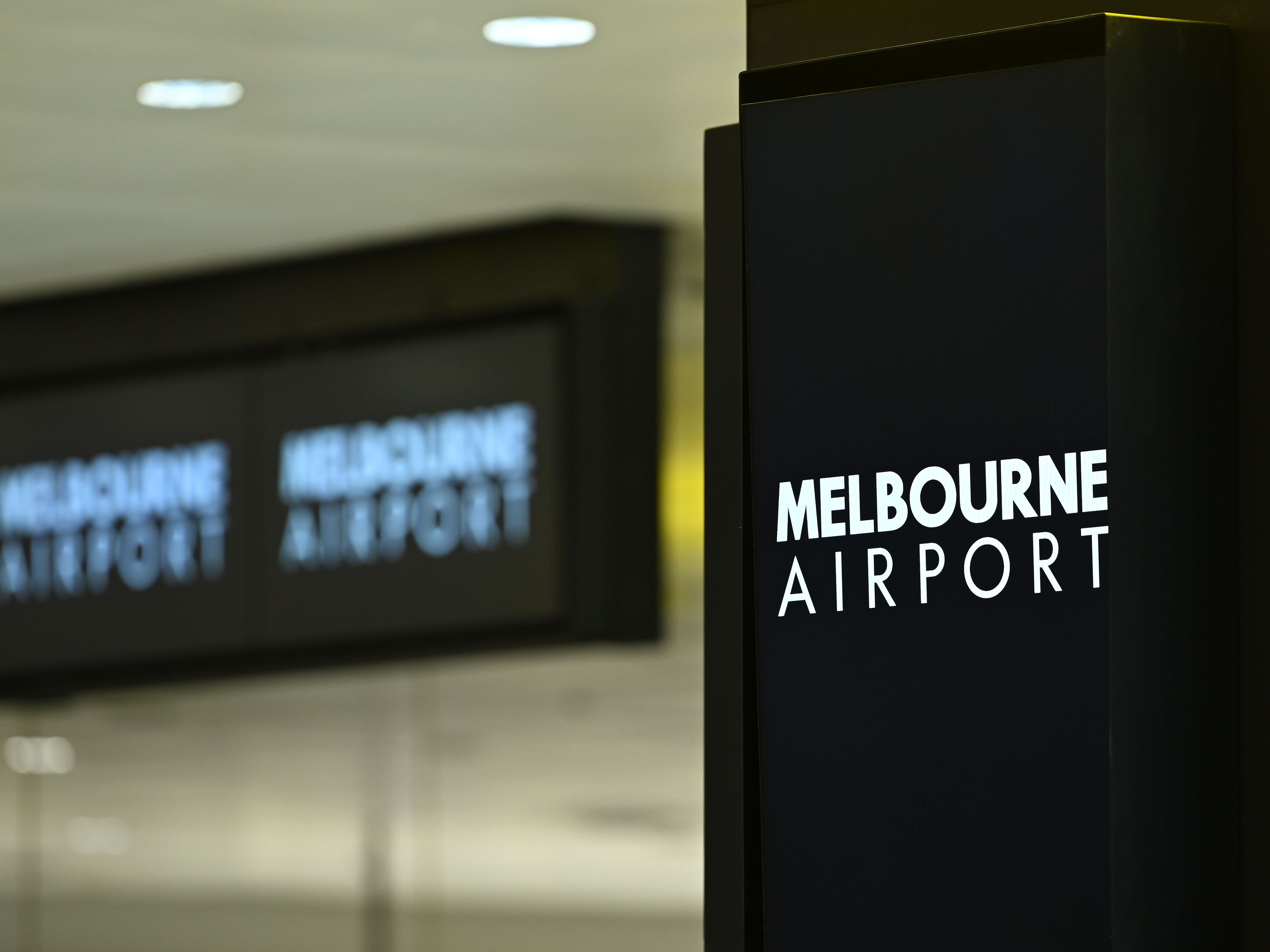 Snake on plane delays flight in Australia