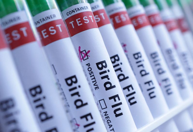 Australia detects first case of H5N1 birdflu