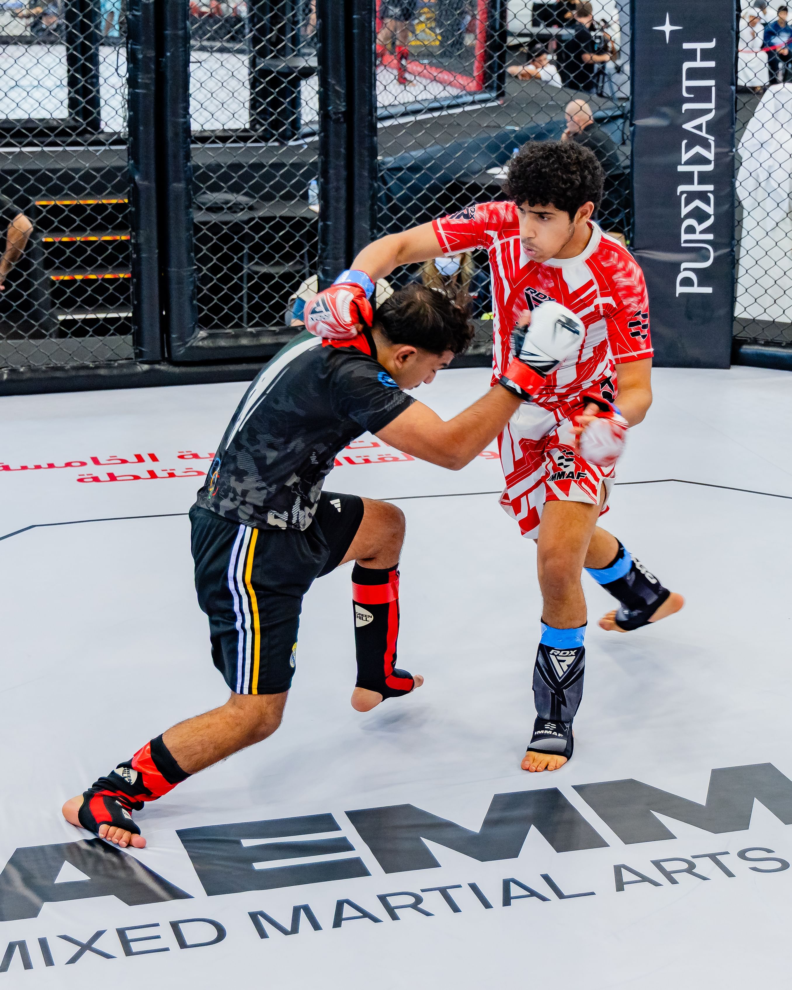 5th UAE National MMA Championship ends in Al Ain with strong local performances