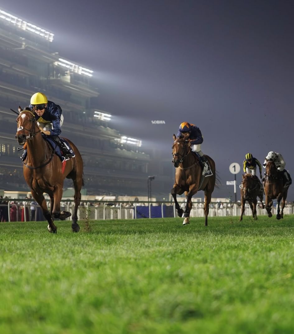 Over 70 horses compete in Friday’s opening card of Dubai Racing Carnival