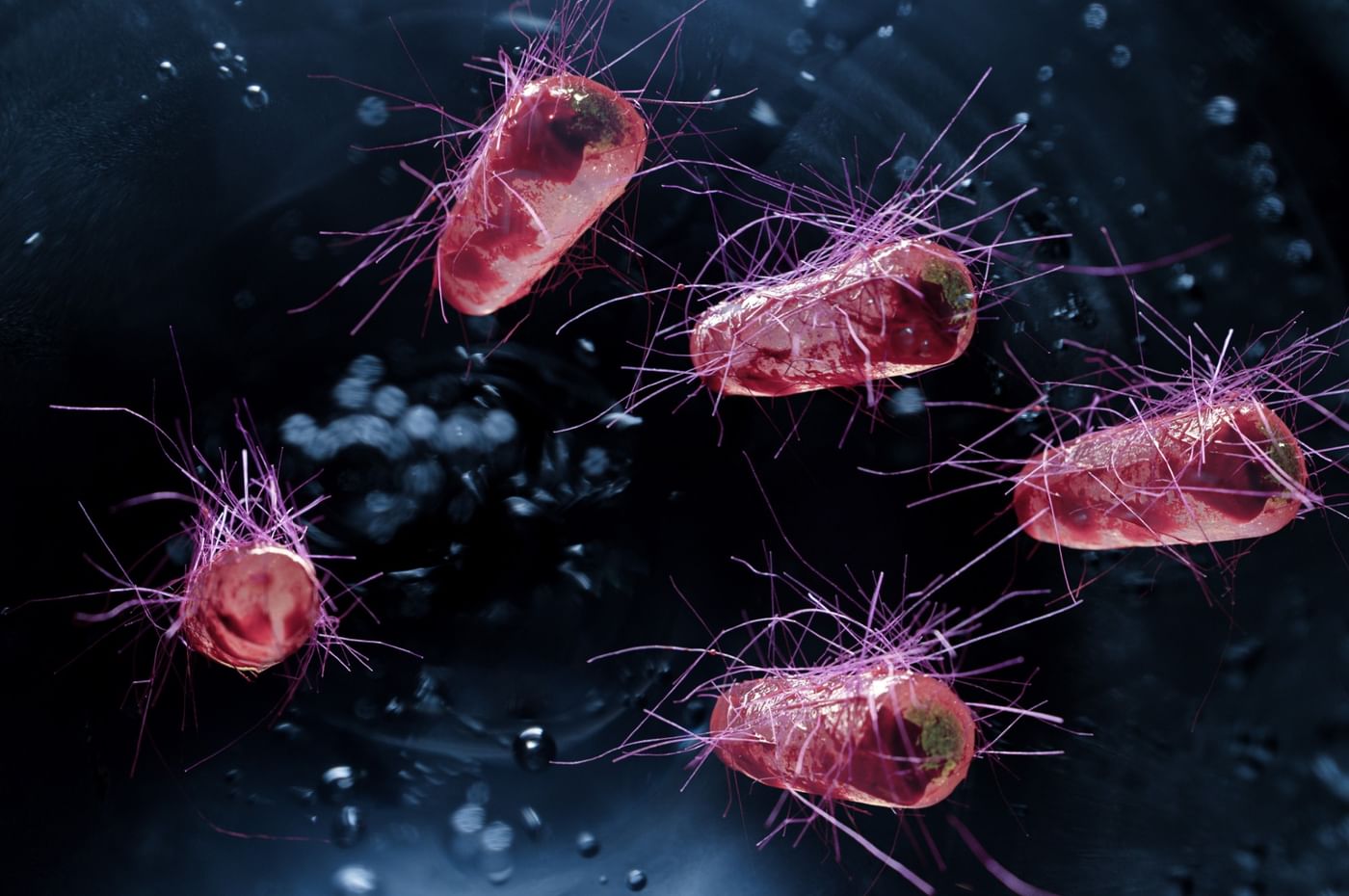 British scientists develop new genetically modified bacterial strain