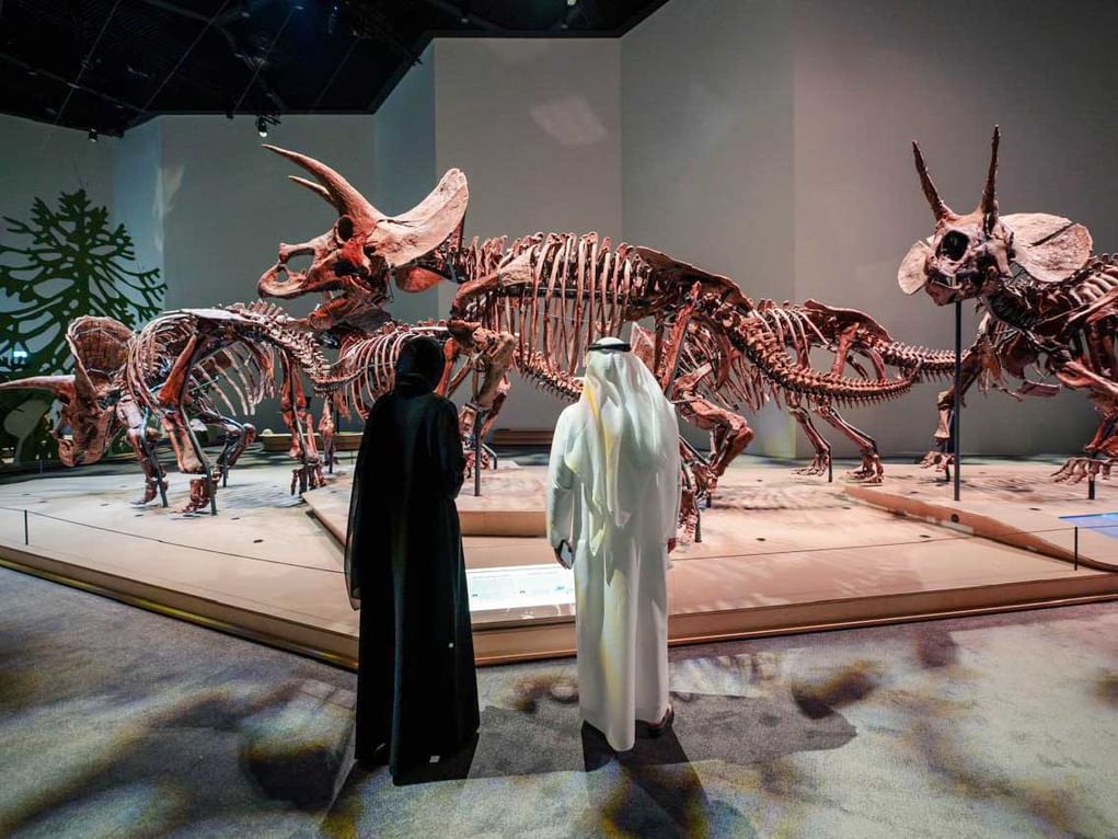 Abu Dhabi advances global role in culture, tourism sectors
