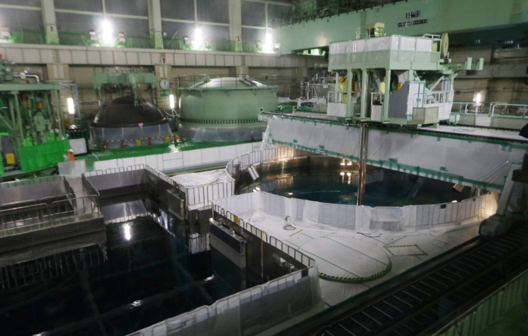Japan nuclear reactor to be halted after radioactive steam detected