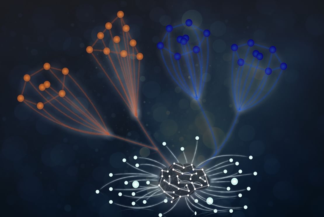 NYU Abu Dhabi study shows AI can rediscover fundamental physics laws