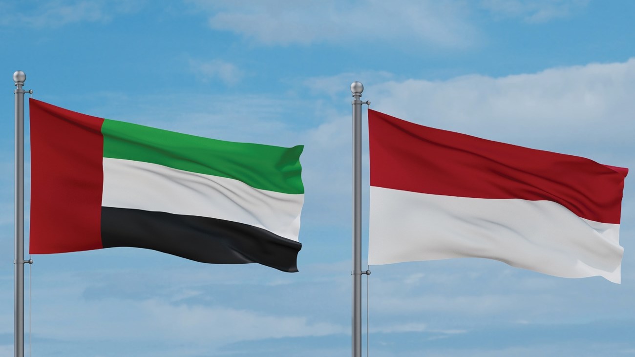 UAE, Indonesian Presidents witness announcement of bilateral agreements, MoUs