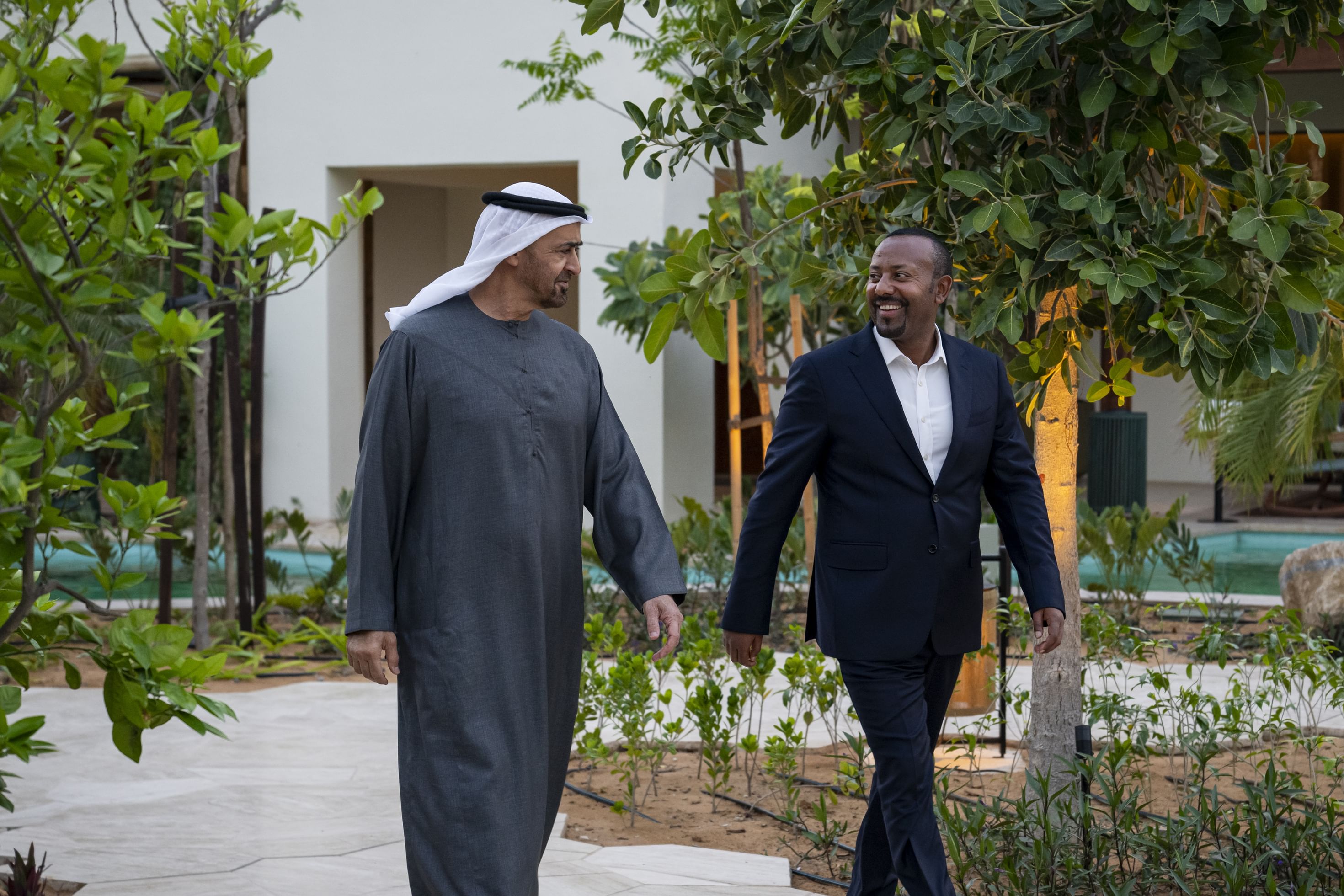 UAE President and Ethiopian Prime Minister discuss cooperation and regional developments