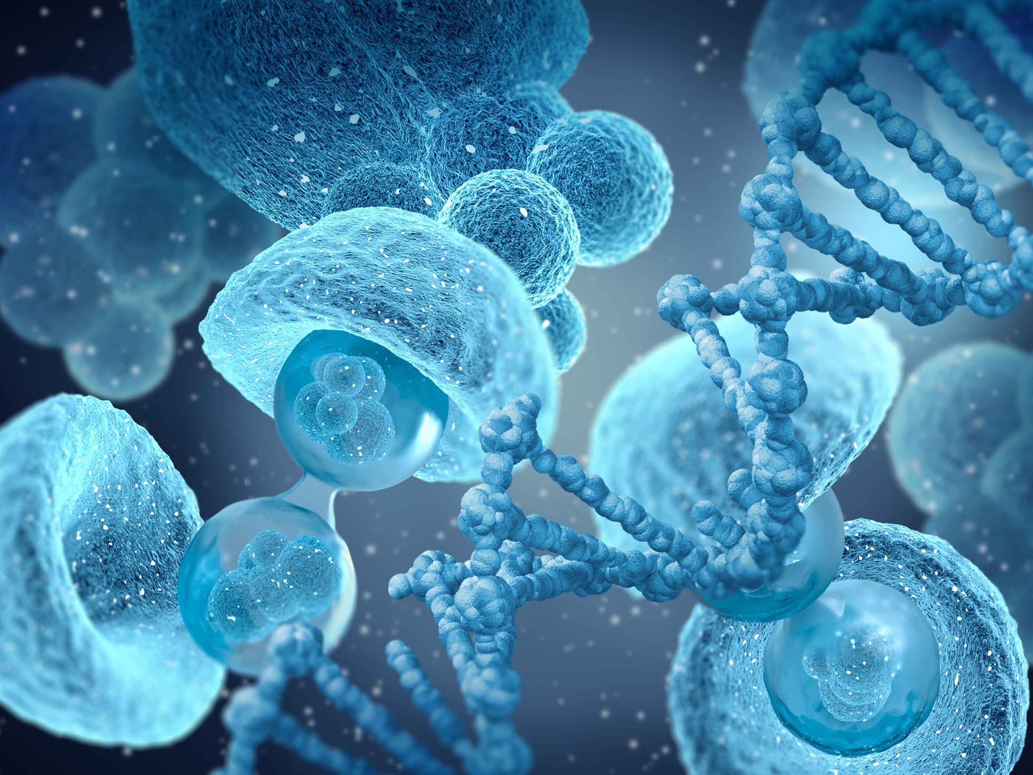 Australian scientists develop new stem cell technology for blood diseases, cancer