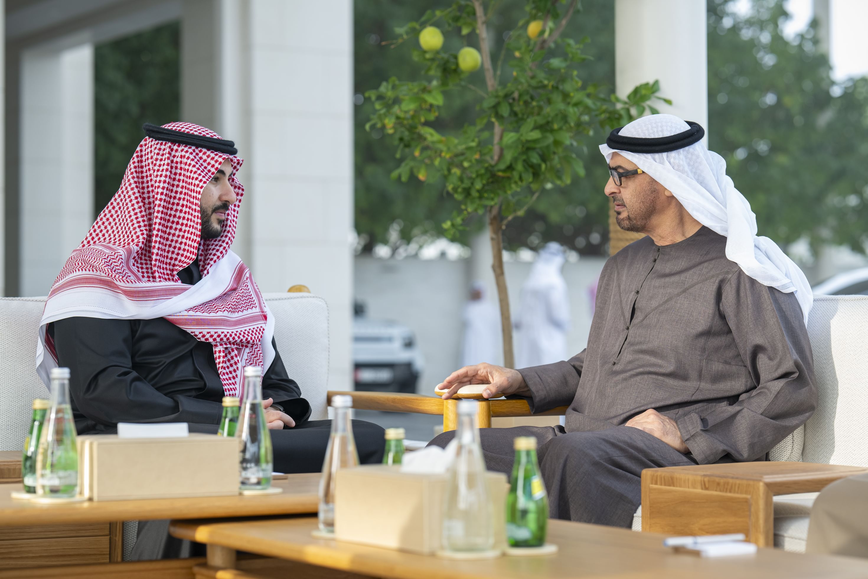 UAE President receives Prince Khalid bin Salman 