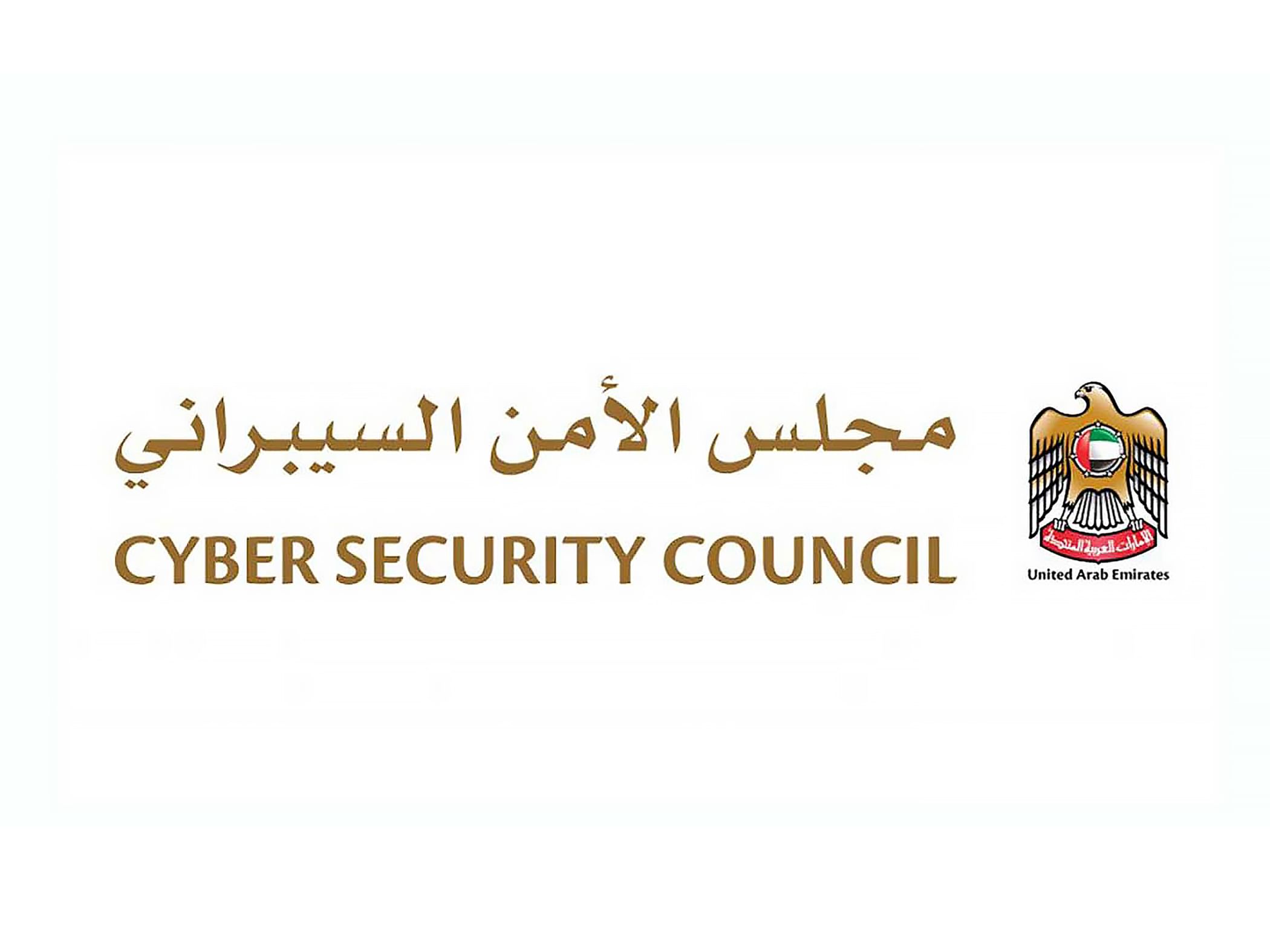 Over 60% of financial attacks starts with stolen login details: Cyber Security Council