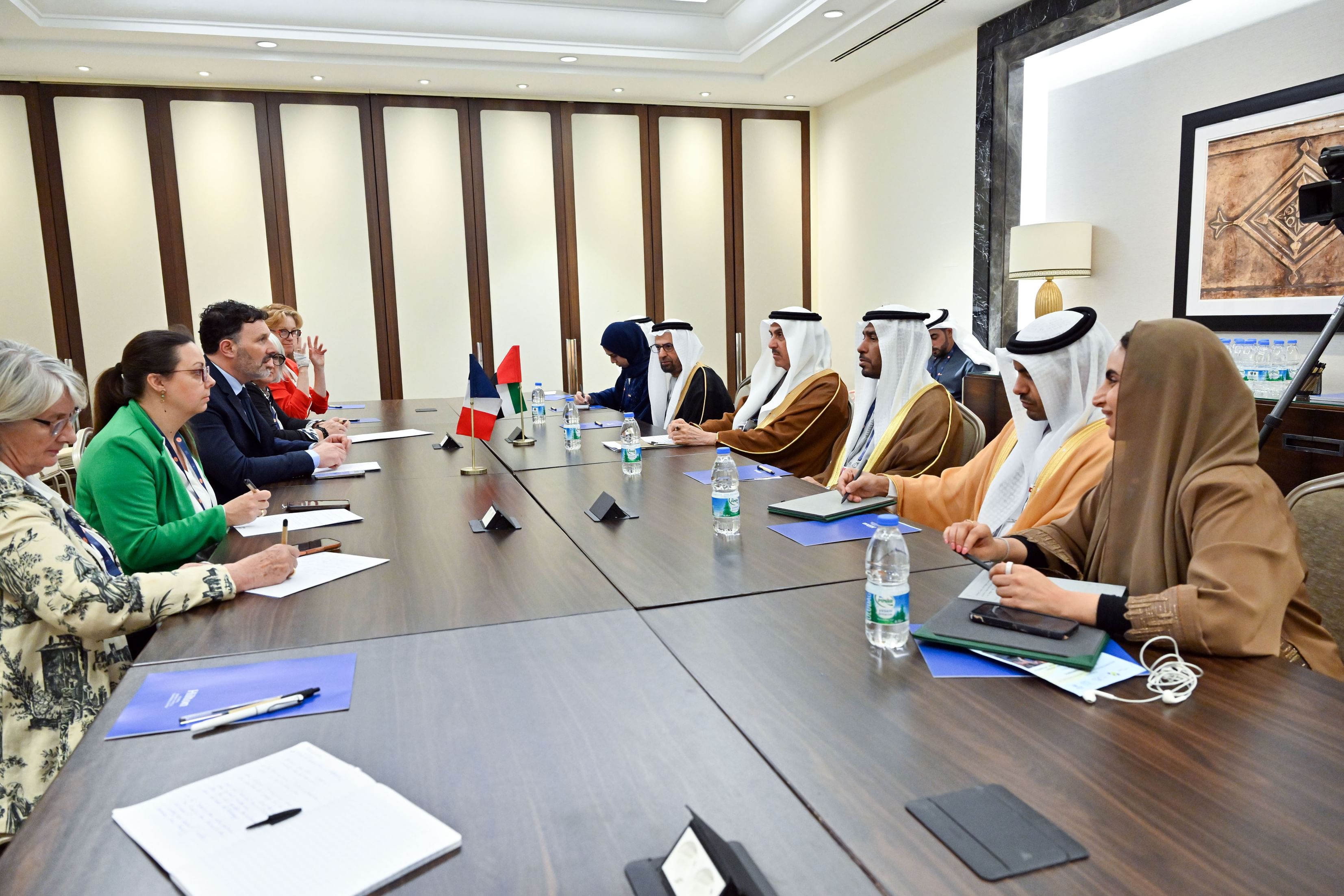 UAE-French partnership key to stability, deterring threats: FNC Speaker