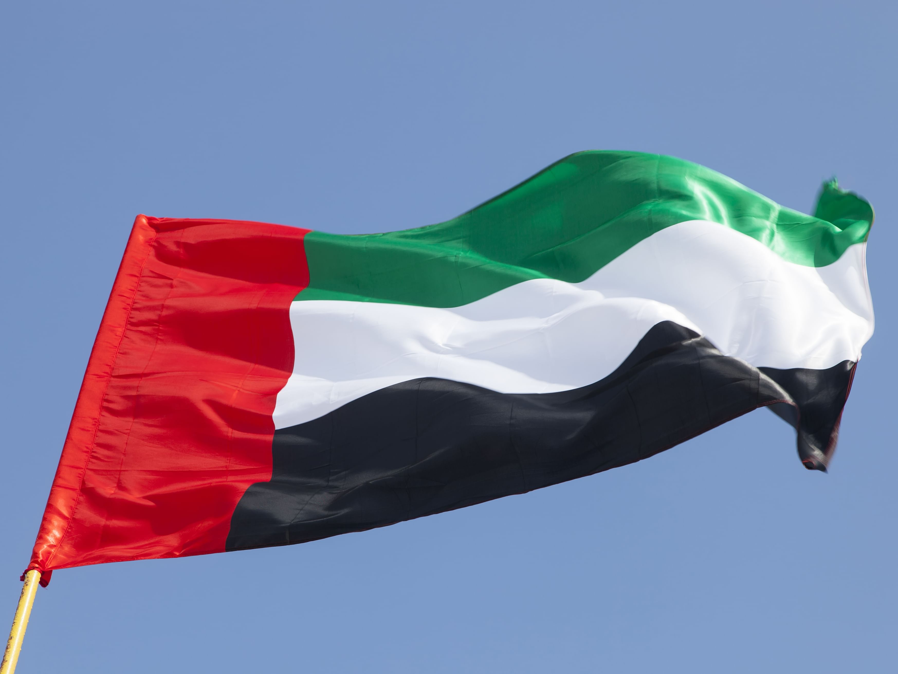 UAE condemns terrorist attack on military base in Chad