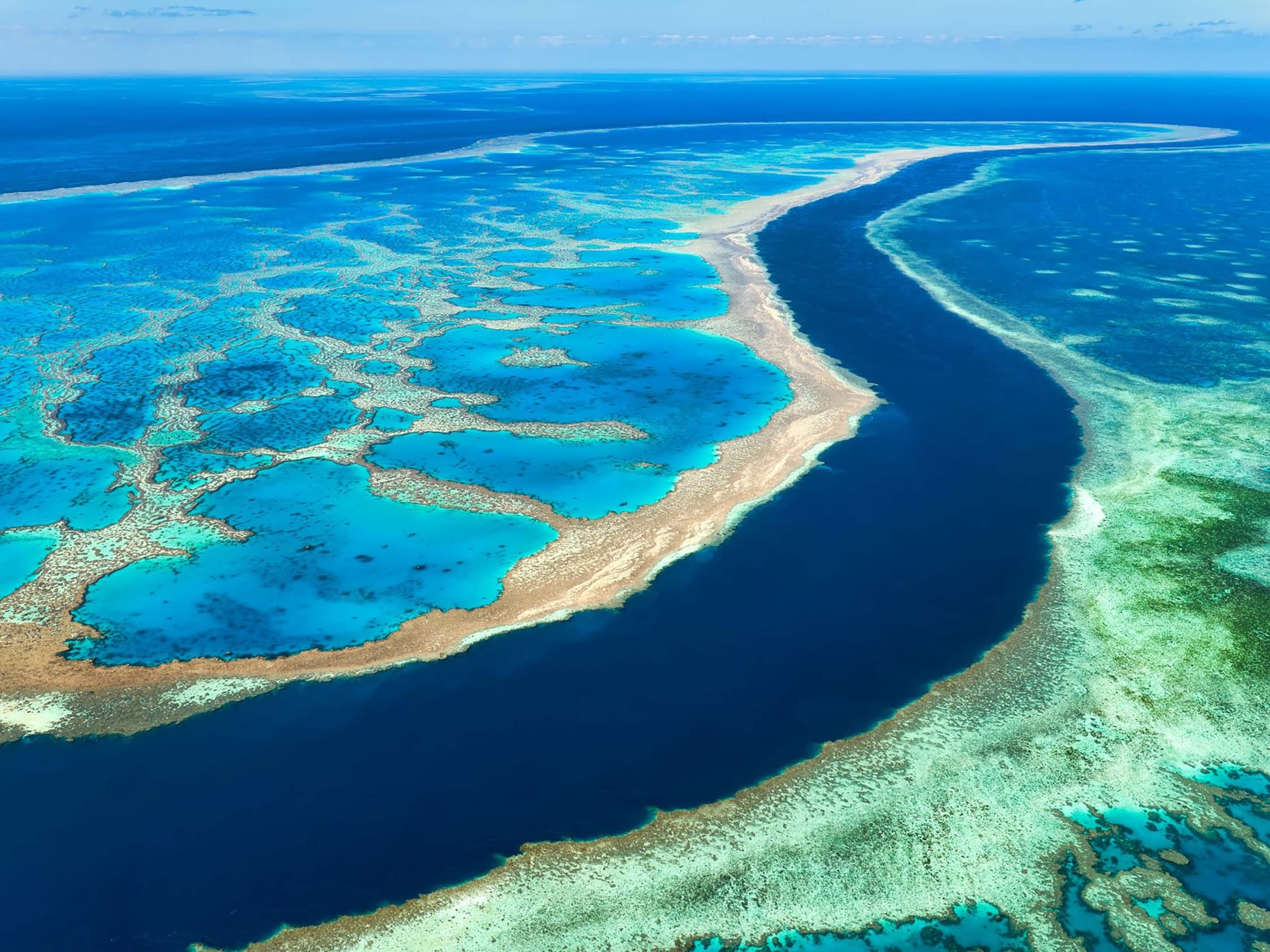 Australia's Great Barrier Reef suffers worst coral decline on record 