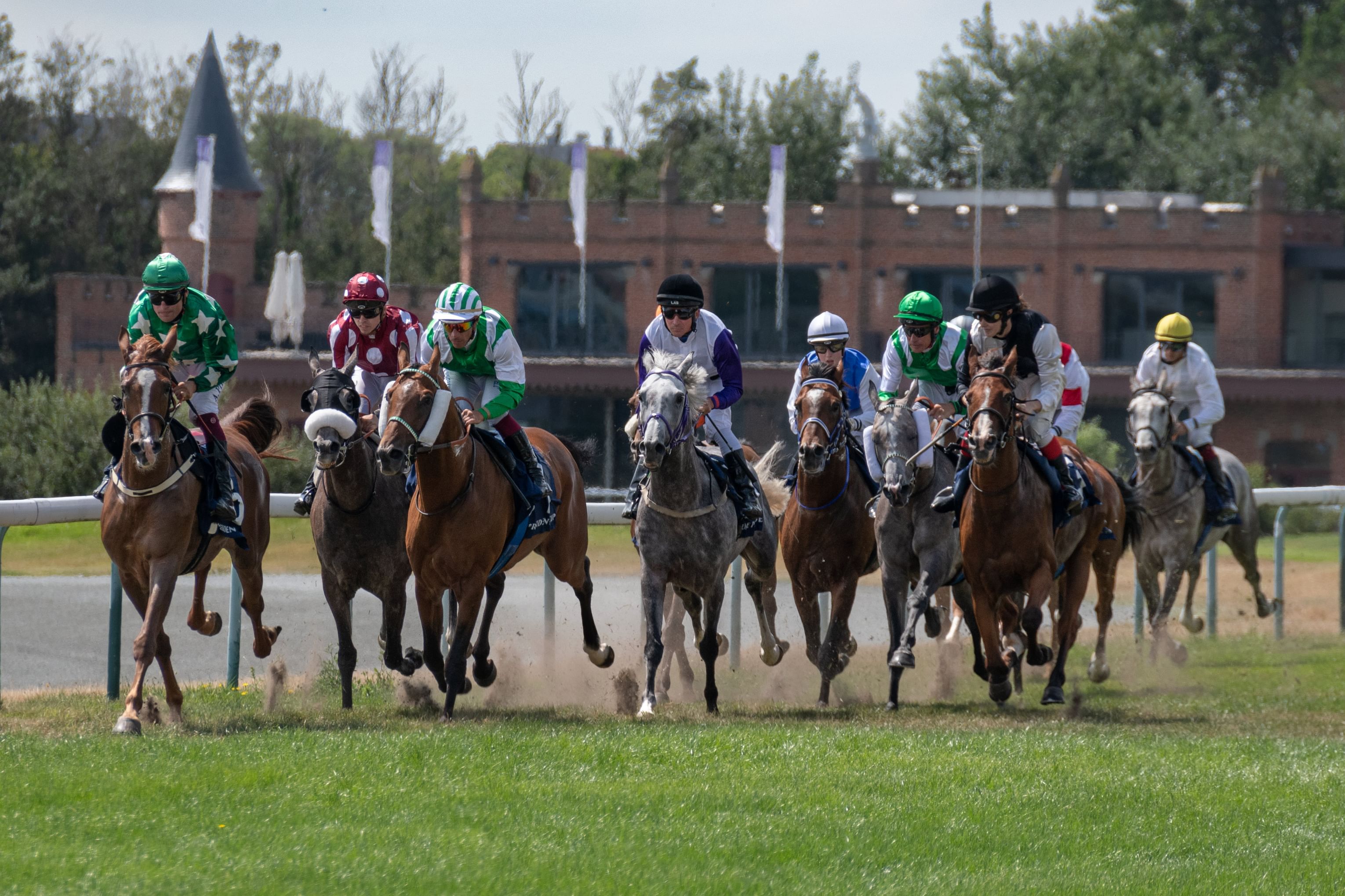 Champions meet at Belgian Summit of UAE President’s Cup for Purebred Arabian Horses