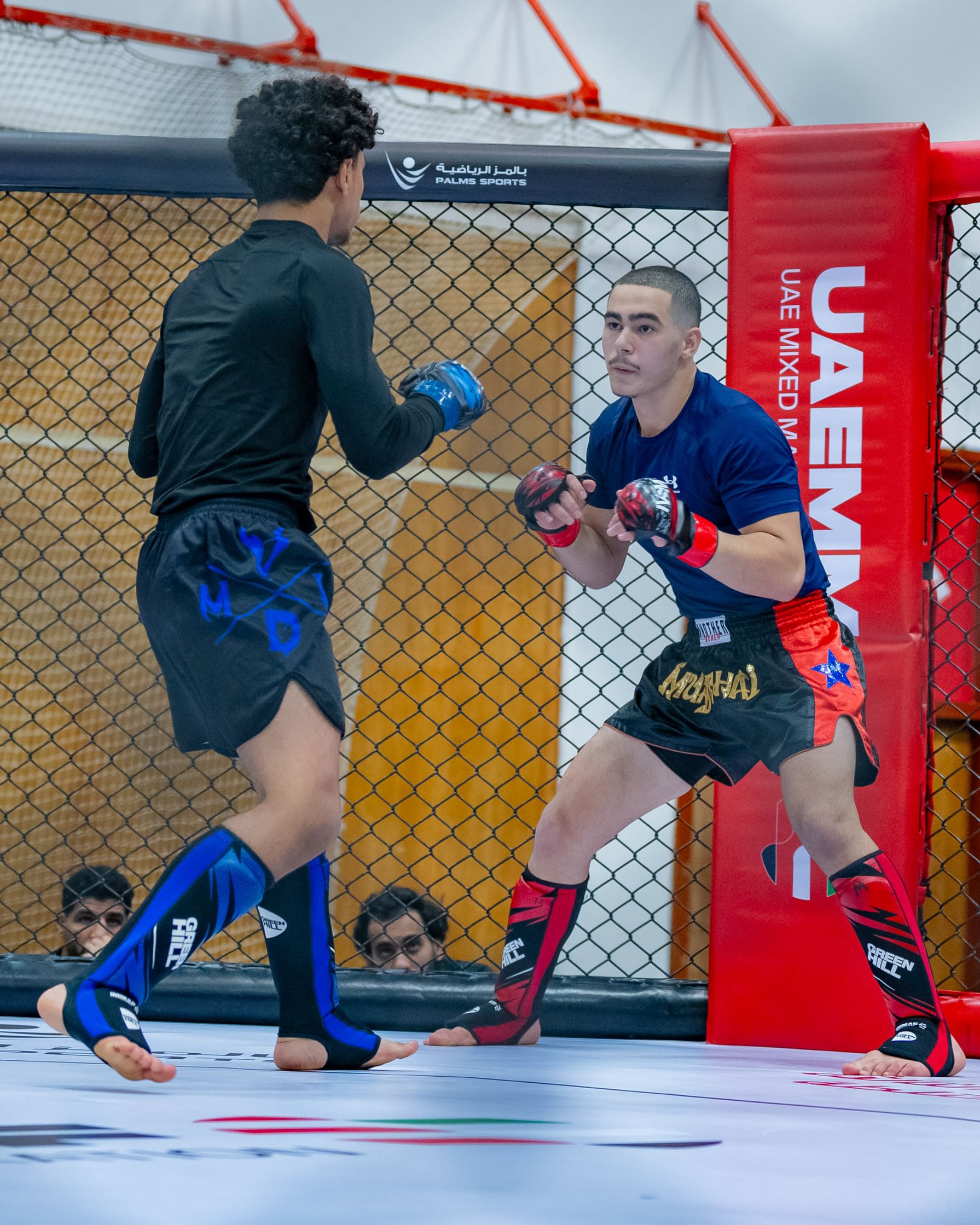Al Ain to host UAE National MMA Championship Saturday