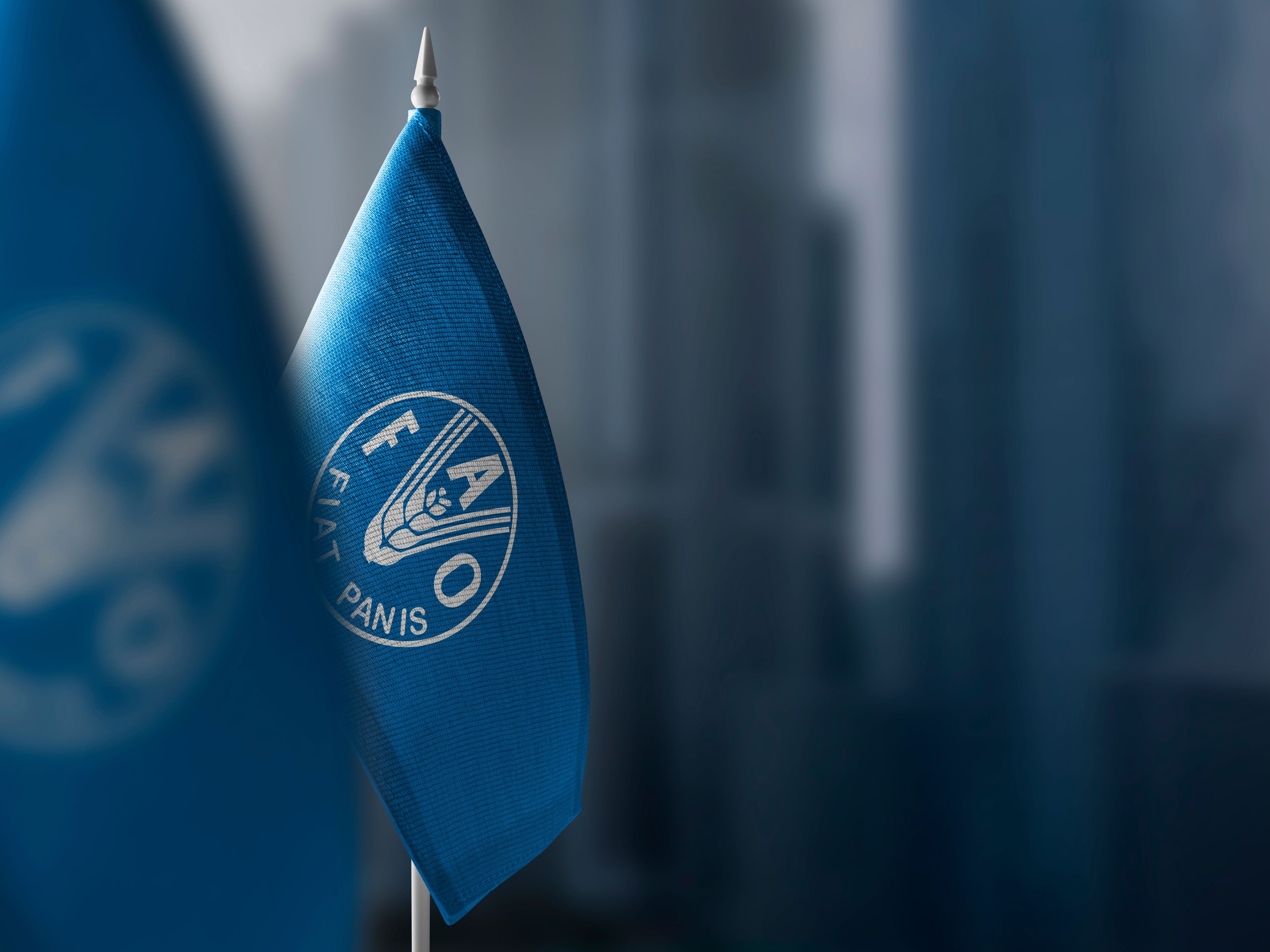 Global hunger levels ease for third consecutive year, FAO says