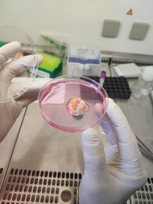 Abu Dhabi Stem Cells Centre pioneers groundbreaking cancer therapy