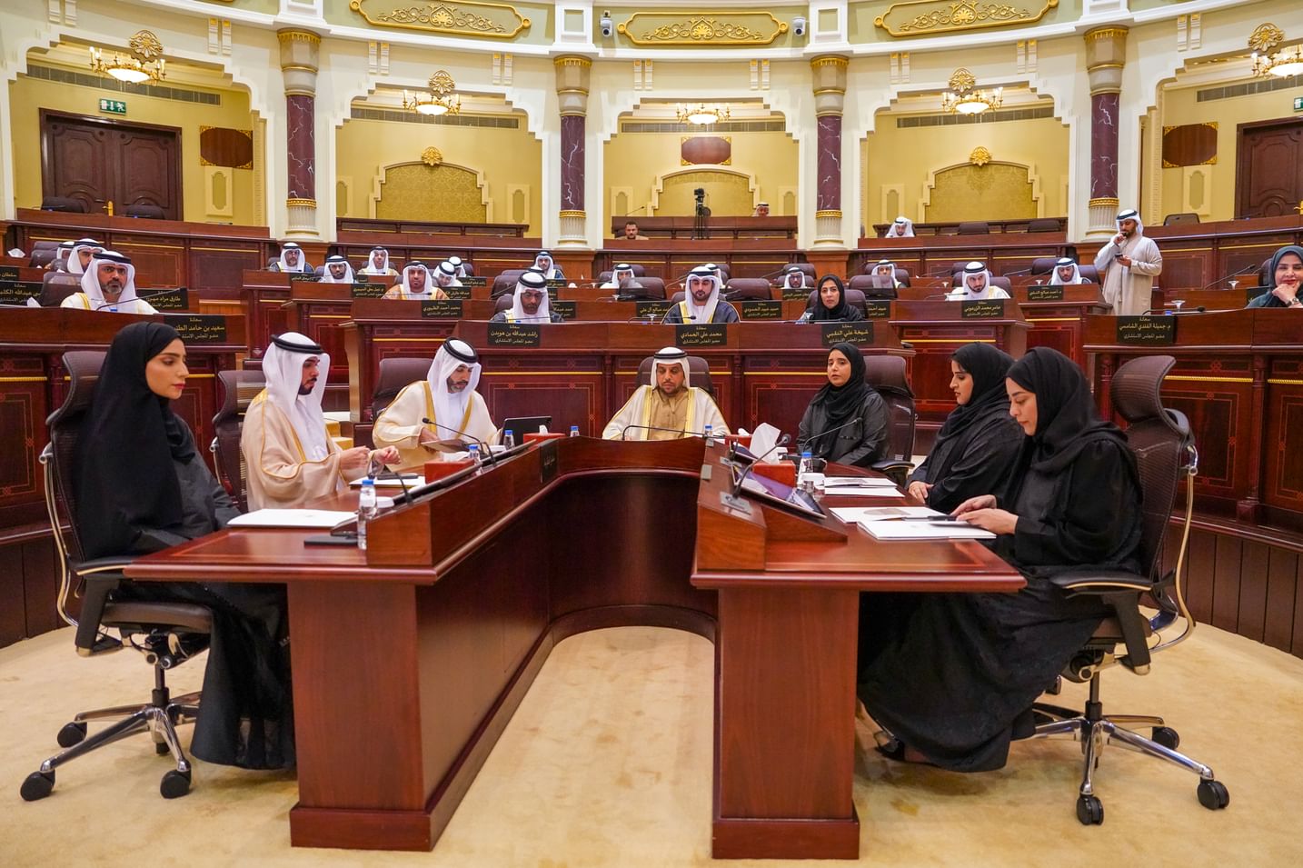 Sharjah Consultative Council approves 2025 budget