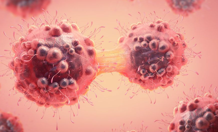 New breast cancer therapy can slow advance of disease, prolong survival