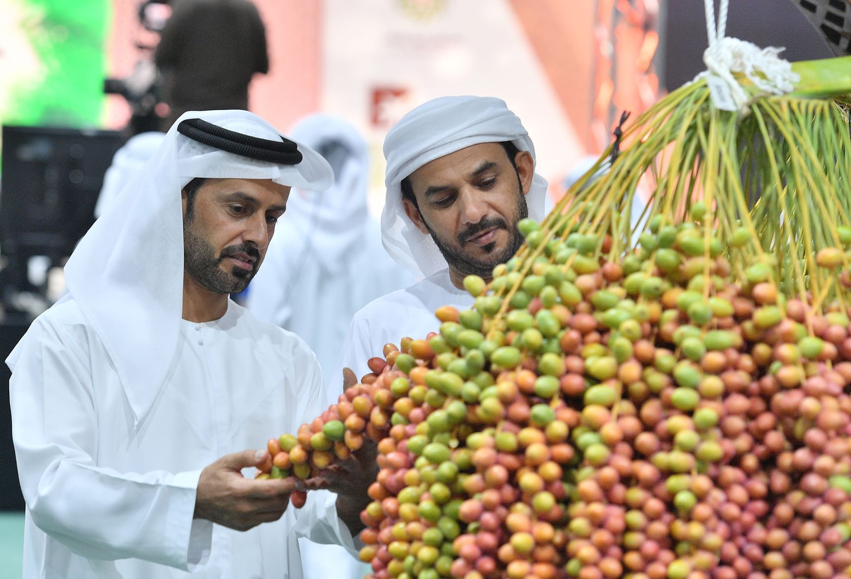 21st Liwa Date Festival to launch on July 14 under patronage of Mansour bin Zayed
