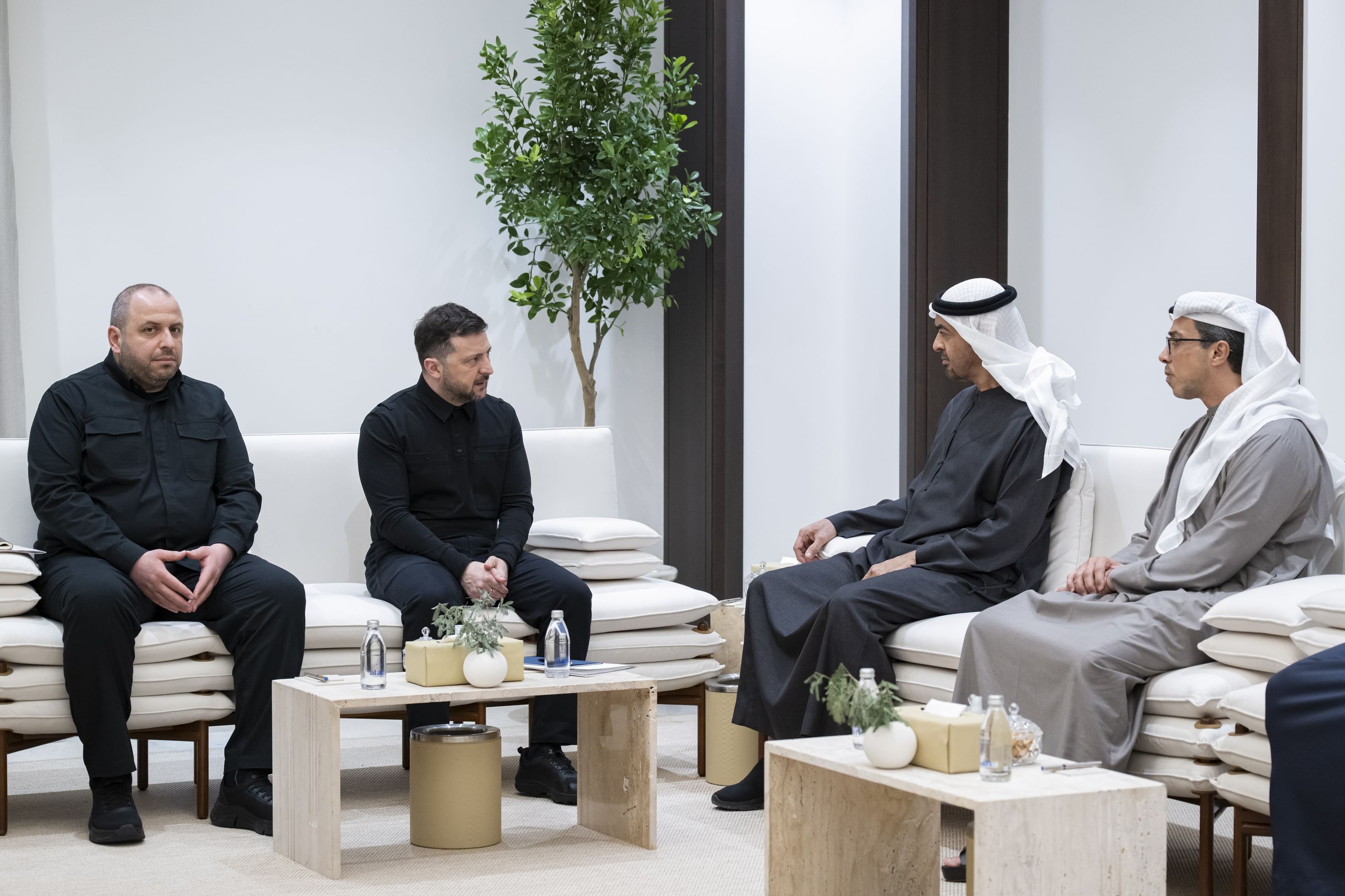 UAE and Ukrainian Presidents discuss cooperation and regional developments