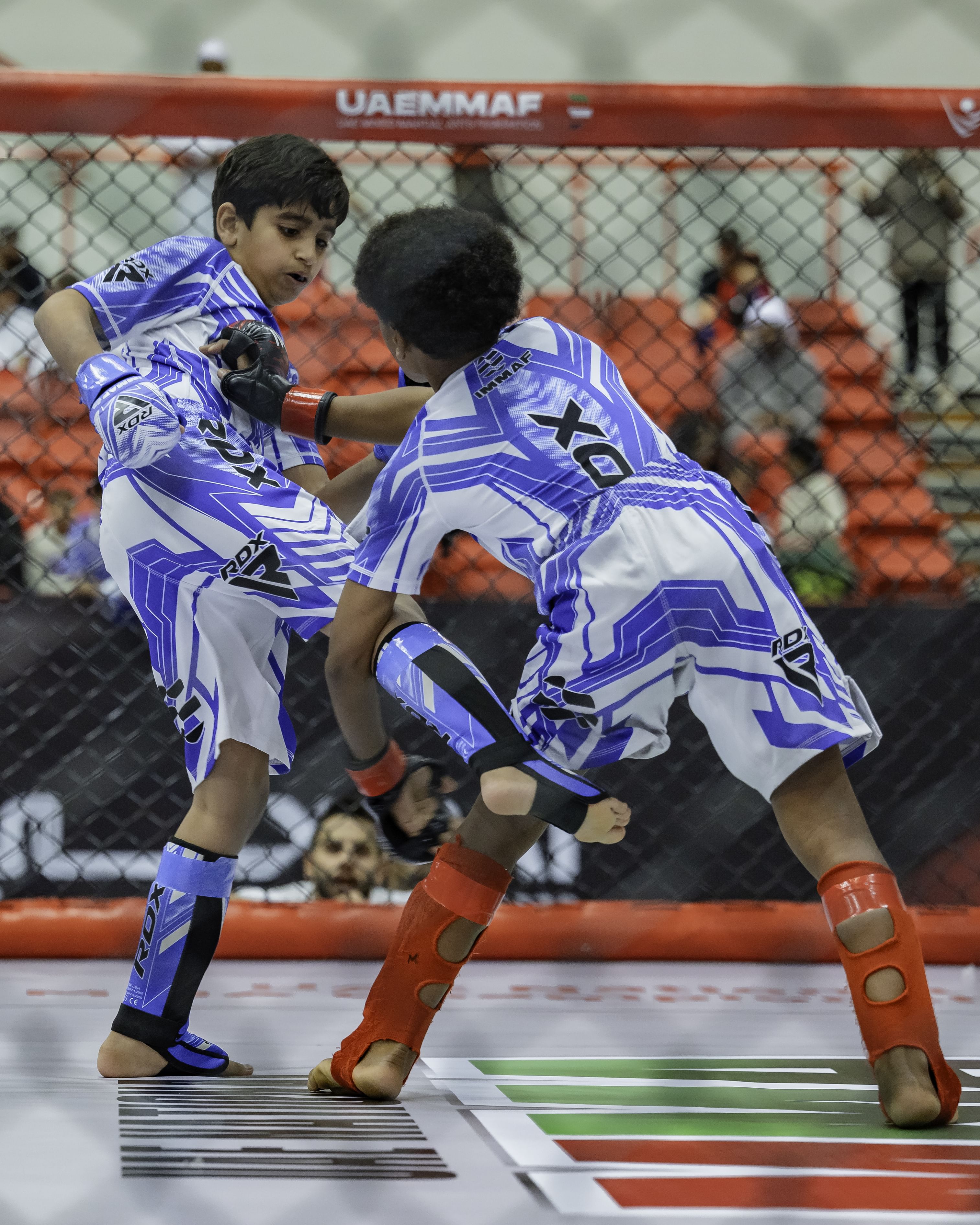 UAE National MMA Championship 7 gets underway in Dubai