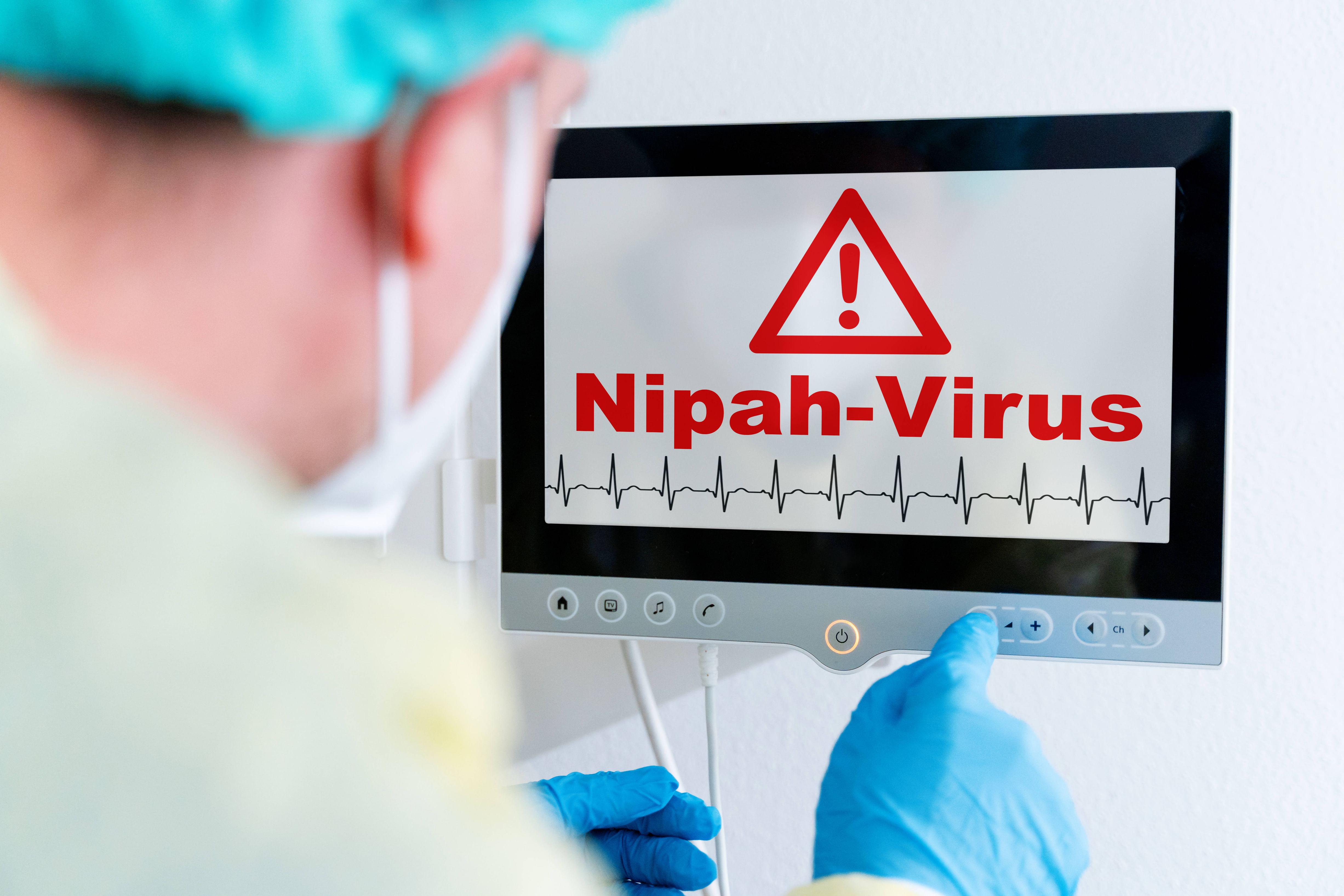 Singapore to conduct temperature screening at airport over Nipah outbreak