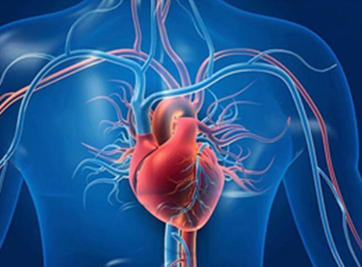 Man wakes after 40 hours with no heartbeat in medical miracle