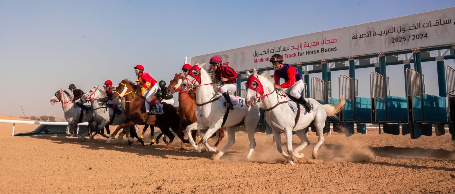 Arabian Purebred Horse Race kicks off Wednesday in Al Dhafra