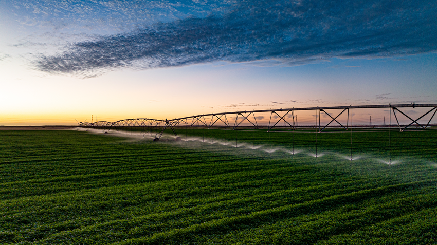 Abu Dhabi's Al Dahra Publishes Sixth Annual Sustainability Report, Advancing Global Farming Platform