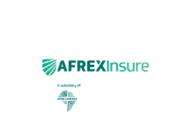 AfrexInsure Appoints Lesley Ndlovu as New Chief Executive Officer