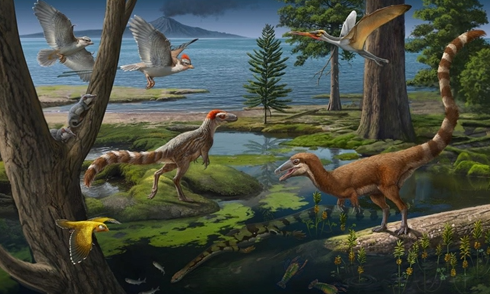 Oyster fossils reveal Early Cretaceous 'Climate Code'