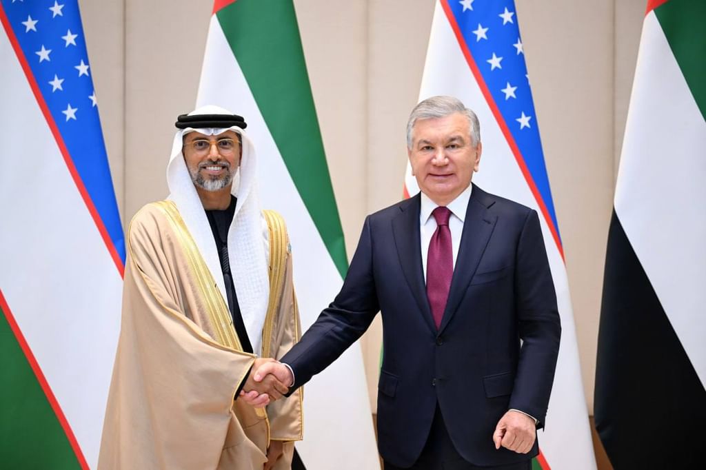 President of Uzbekistan receives Minister of Energy