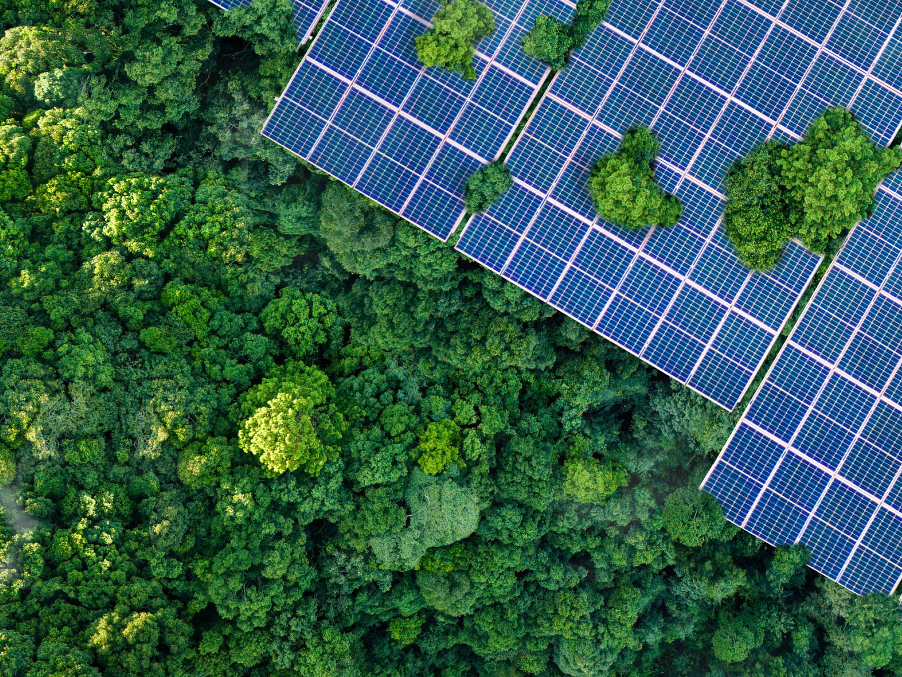 FAB unveils net-zero transition plan in 2026