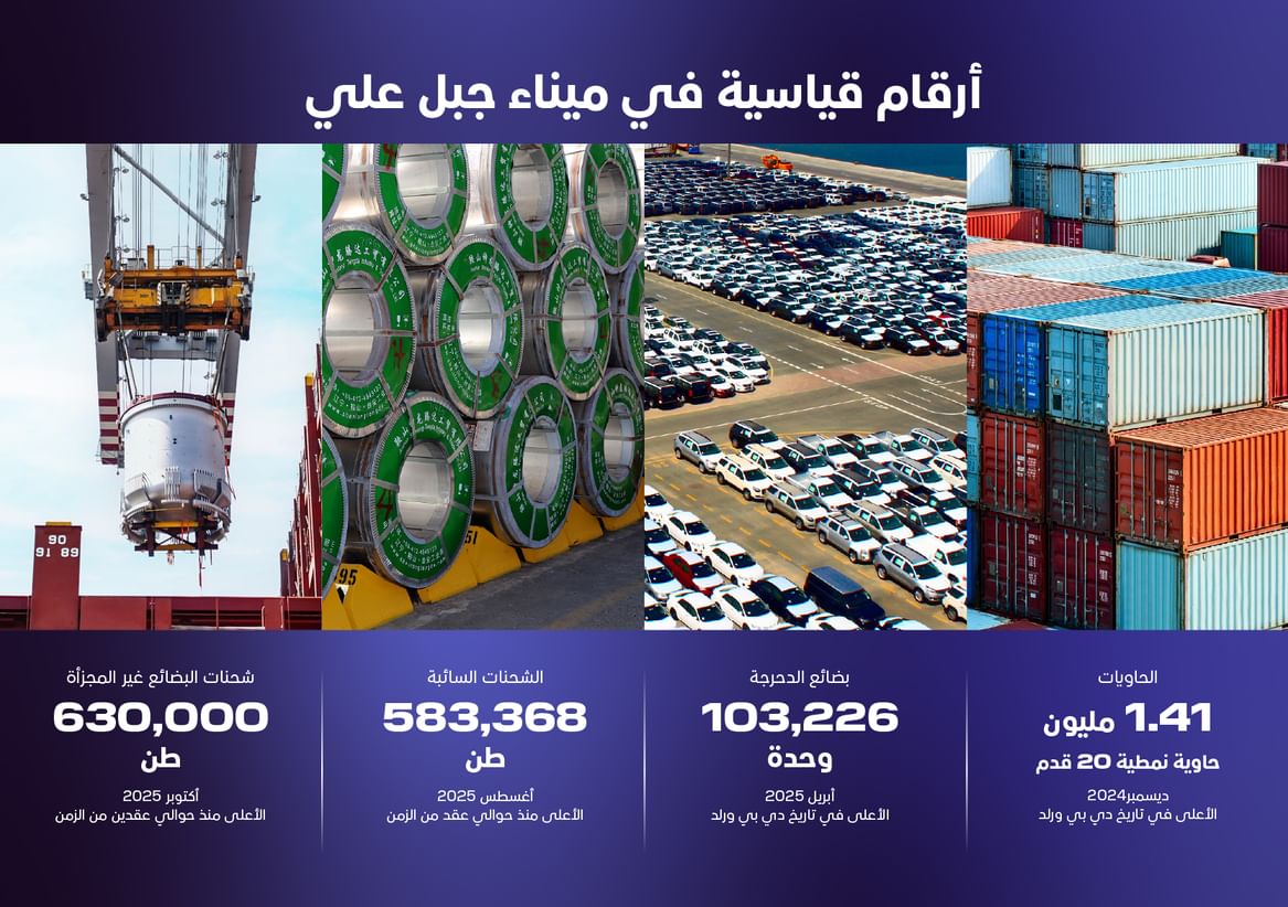 Jebel Ali Port sets breakbulk record, handling 630,000 tonnes in October