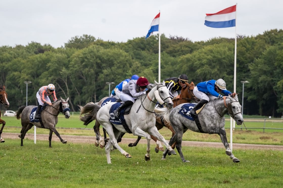 UAE President’s Cup for Purebred Arabian Horses continues European journey from Netherlands