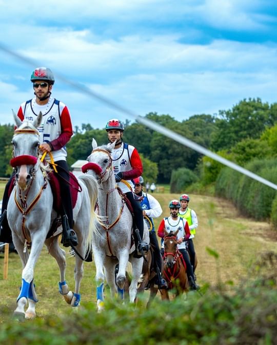 Emirati Knights compete in FEI Endurance World Championship for Young Horses in Italy 